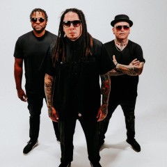 P.O.D